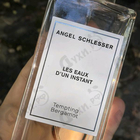 Отзывы Angel Schlesser Tempting Bergamot