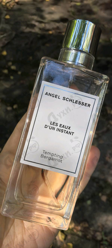 Парфюмерия Tempting Bergamot от Angel Schlesser