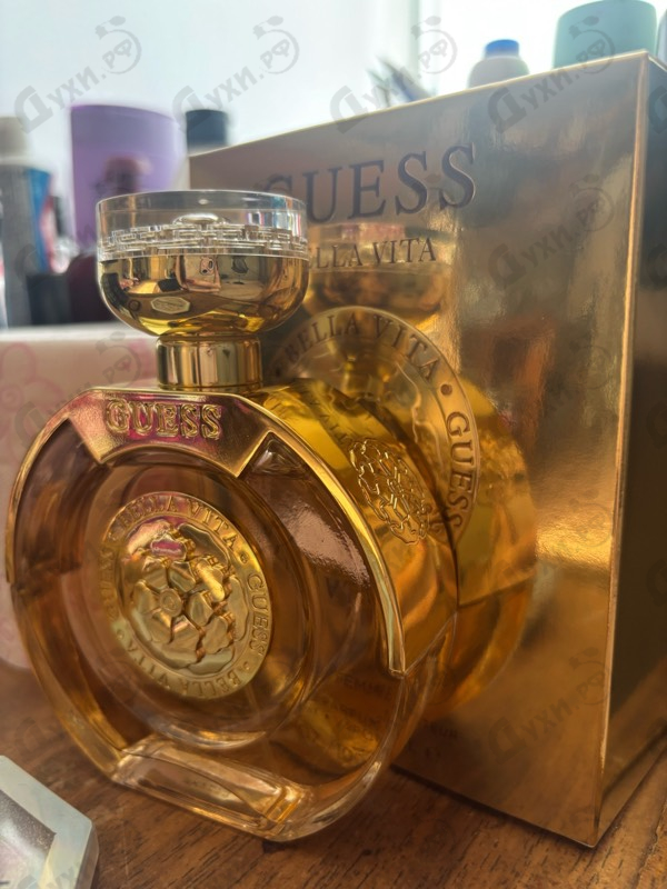 Купить Bella Vita от Guess