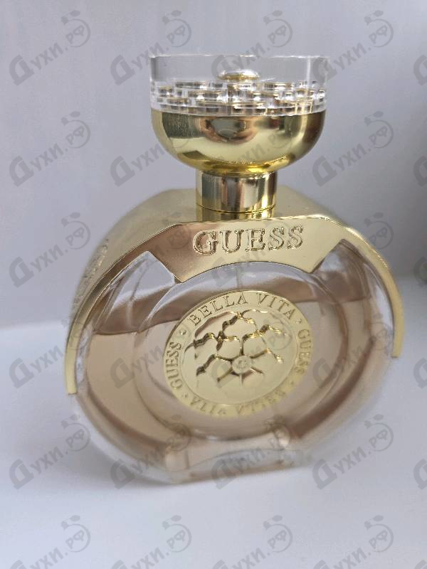 Купить Bella Vita от Guess