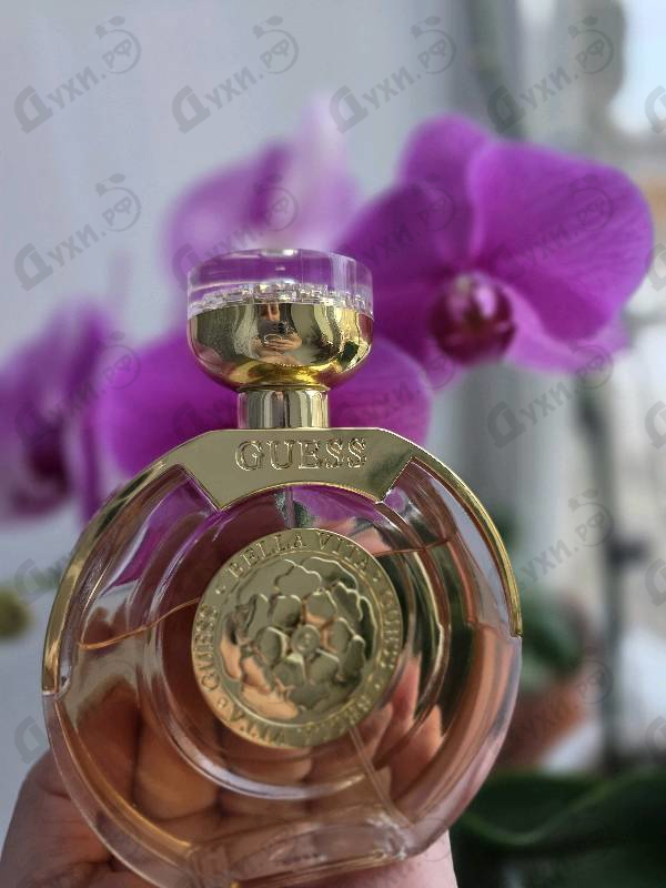 Парфюмерия Bella Vita от Guess