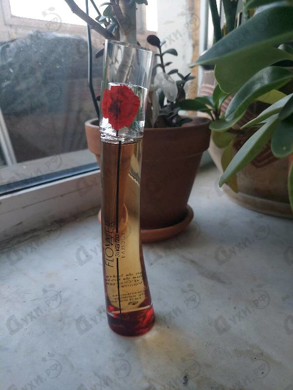 Парфюмерия Flower By Kenzo L’Absolue от Kenzo