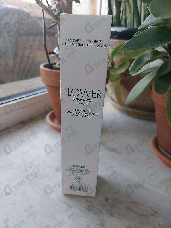 Купить Flower By Kenzo L’Absolue от Kenzo