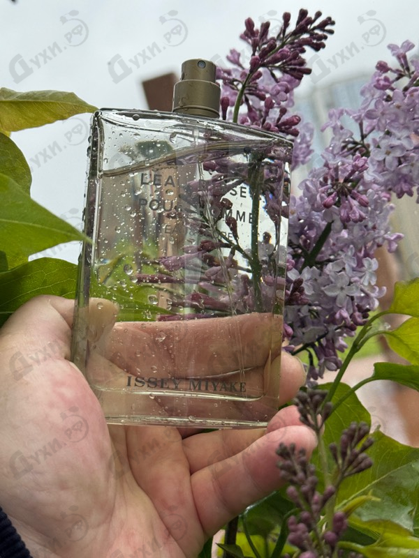 Парфюмерия L'Eau D'Issey Eau & Cedre от Issey Miyake