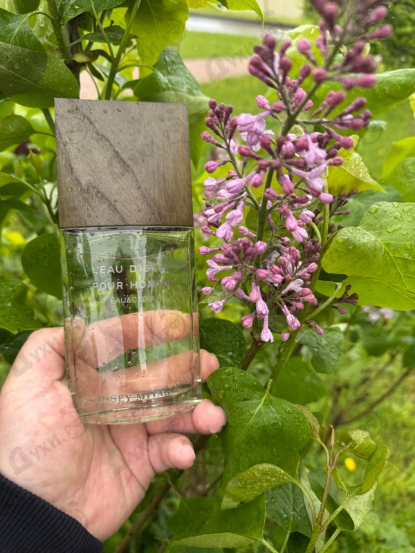 Духи L'Eau D'Issey Eau & Cedre от Issey Miyake