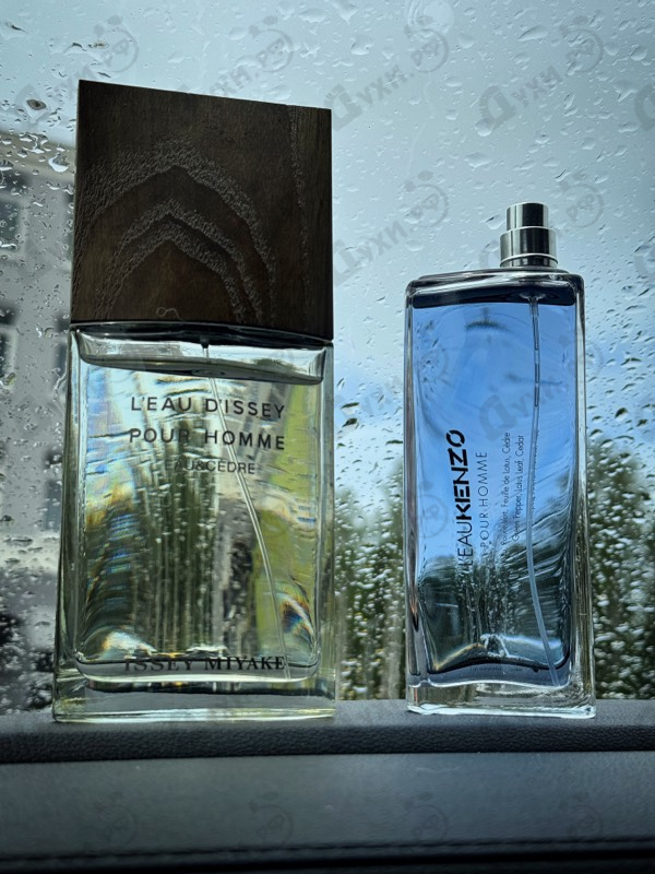 Парфюмерия L'Eau D'Issey Eau & Cedre от Issey Miyake