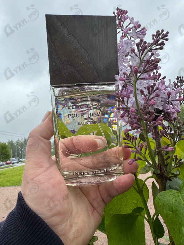 Парфюмерия L'Eau D'Issey Eau & Cedre от Issey Miyake