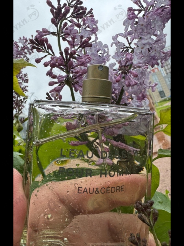 Духи L'Eau D'Issey Eau & Cedre от Issey Miyake