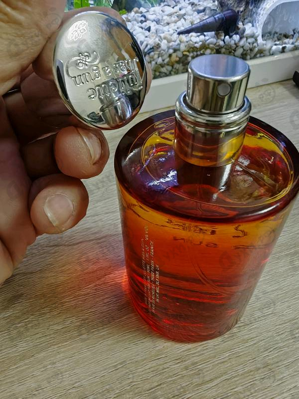 Купить Lust For Sun от Juliette Has A Gun