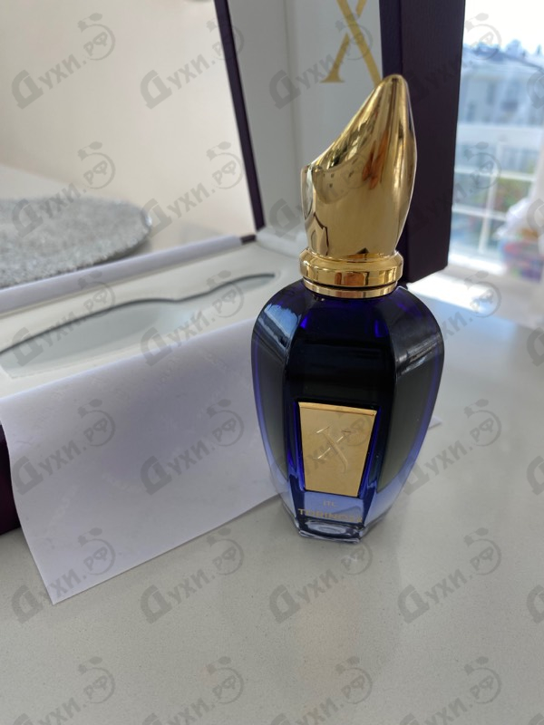 Купить Xerjoff Torino22 Купить Torino22 от Xerjoff