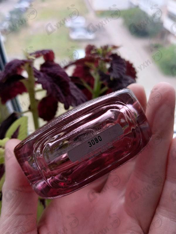 Духи L.12.12. Rose Eau Intense от Lacoste