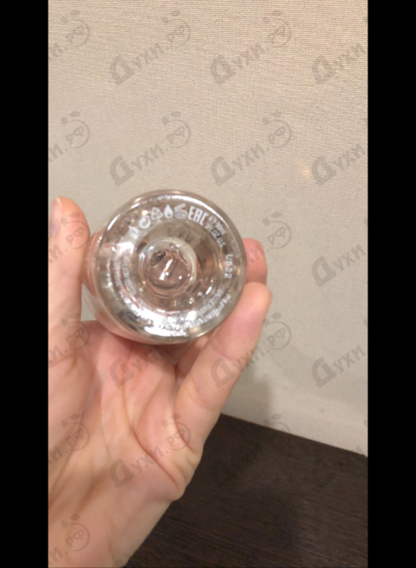 Купить Philipp Plein Plein Fatale Rose