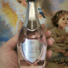 Отзывы Philipp Plein Plein Fatale Rose