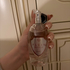 Духи Plein Fatale Rose от Philipp Plein