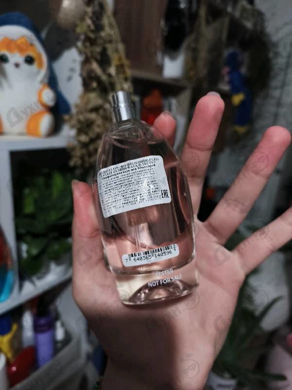 Отзывы Philipp Plein Plein Fatale Rose