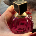 Отзывы Jimmy Choo Rose Passion