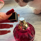 Духи Rose Passion от Jimmy Choo