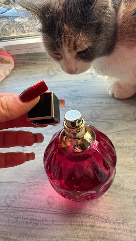 Купить Jimmy Choo Rose Passion