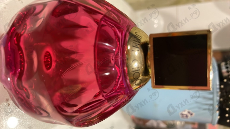 Купить Jimmy Choo Rose Passion