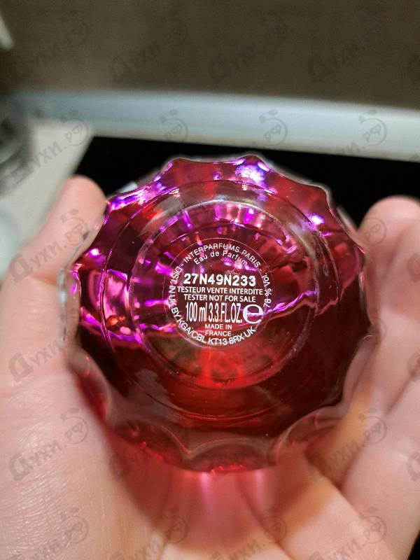 Купить Jimmy Choo Rose Passion