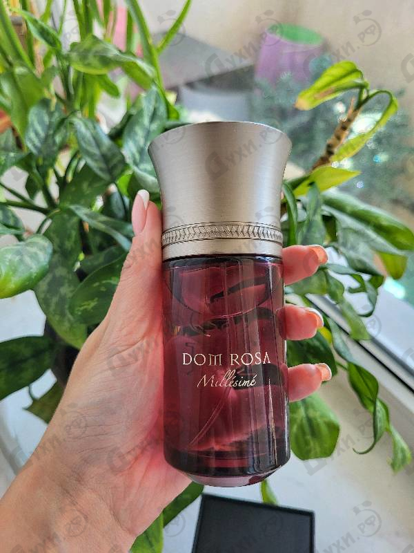 Отзывы Les Liquides Imaginaires Dom Rosa Millesime