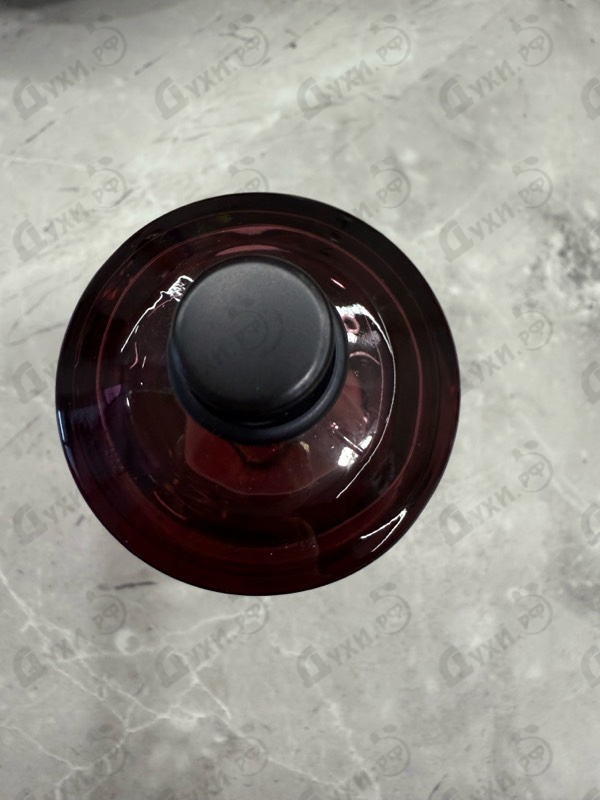 Отзывы Les Liquides Imaginaires Dom Rosa Millesime