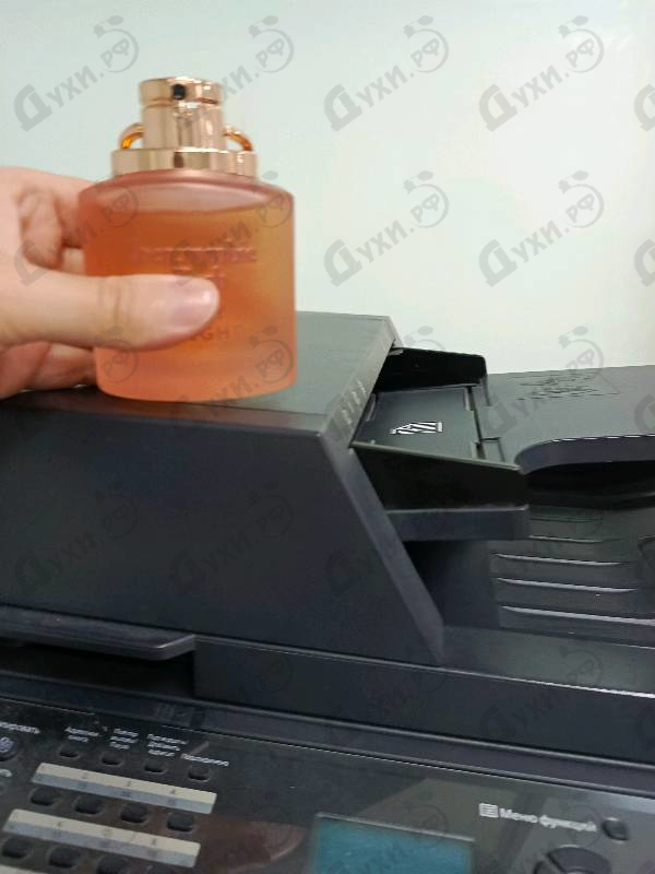 Купить Away Tonight от Abercrombie & Fitch