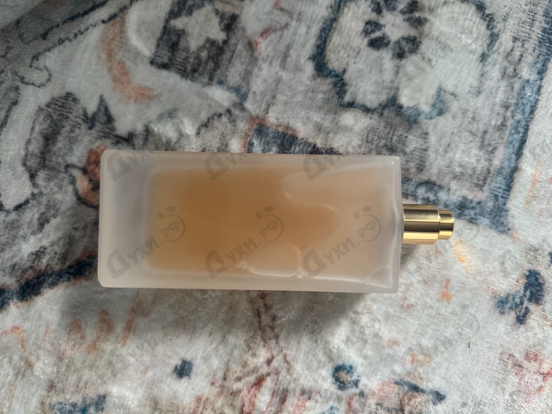 Отзывы Memo Sherwood