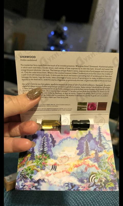 Парфюмерия Sherwood от Memo