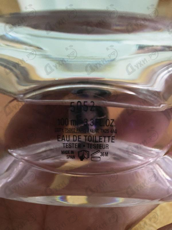 Купить Euphoria Eau De Toilette (2023) от Calvin Klein
