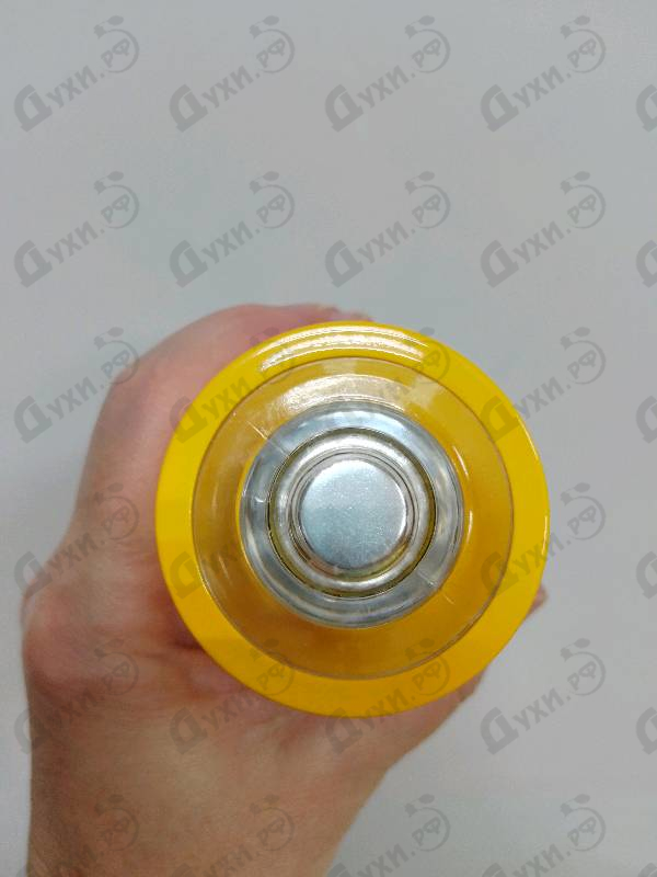 Купить Authentic Self от Abercrombie & Fitch