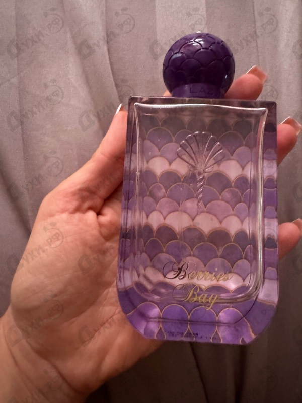 Купить Lazure Perfumes Berries Bay
