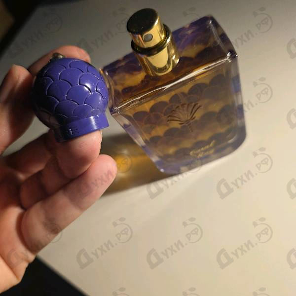 Купить Coral Ray от Lazure Perfumes