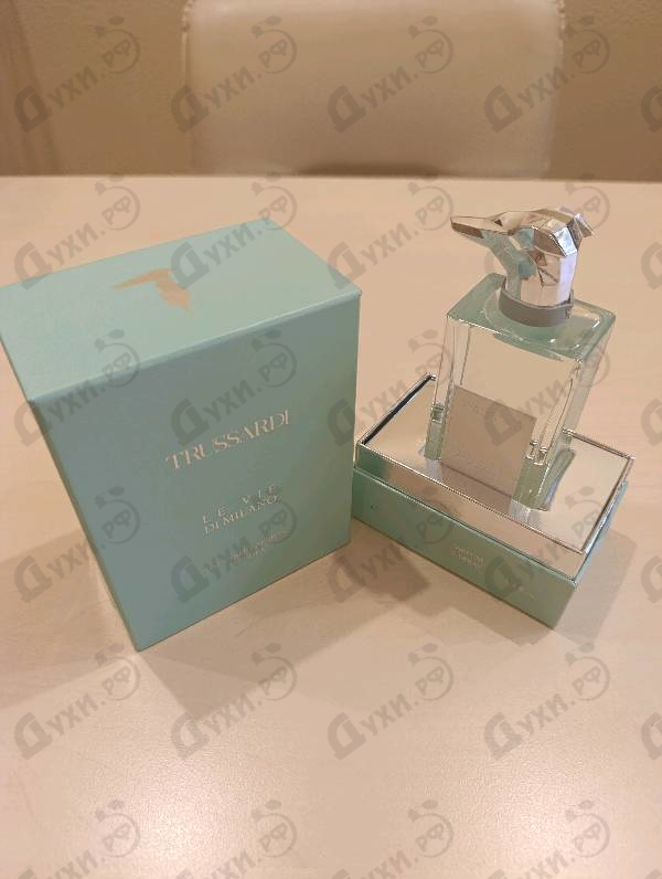 Купить The Street Artists Of Isola от Trussardi