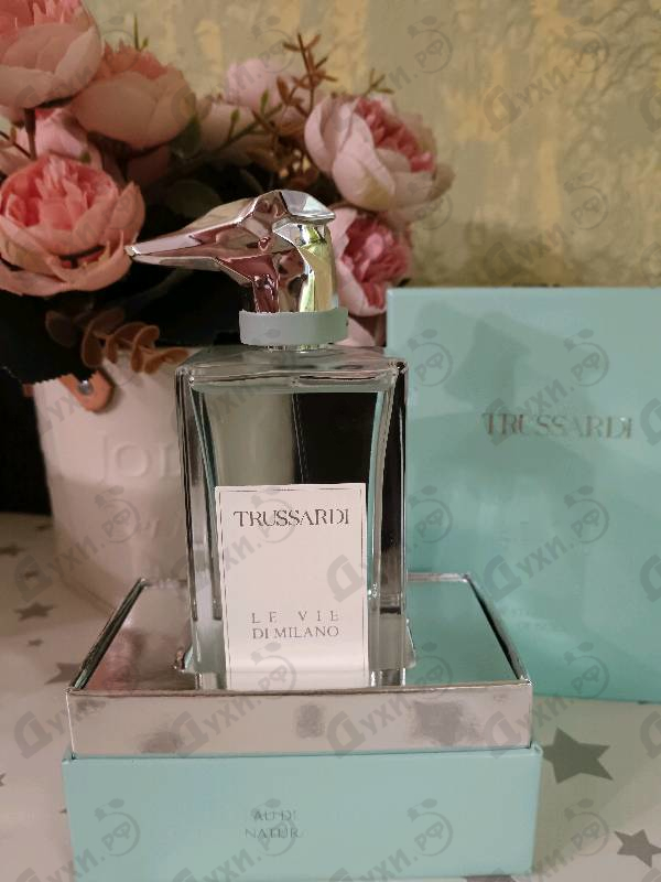 Купить The Street Artists Of Isola от Trussardi