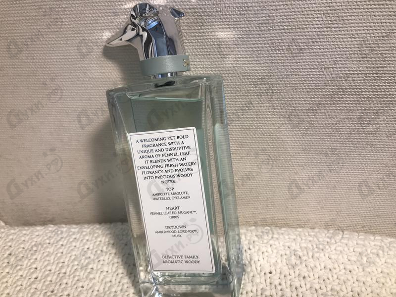 Купить Trussardi The Street Artists Of Isola