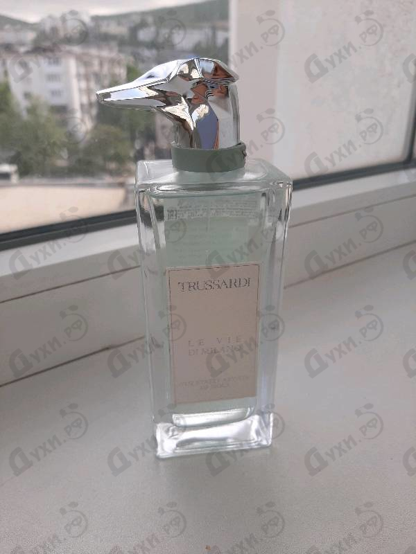 Купить Trussardi The Street Artists Of Isola Духи The Street Artists Of Isola от Trussardi