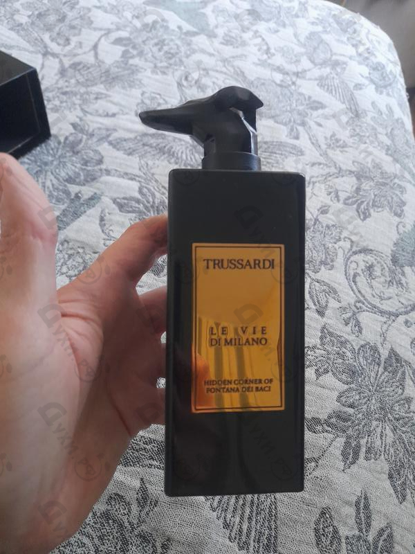 Купить Trussardi Hidden Corner Of Fontana Dei Baci Духи Hidden Corner Of Fontana Dei Baci от Trussardi