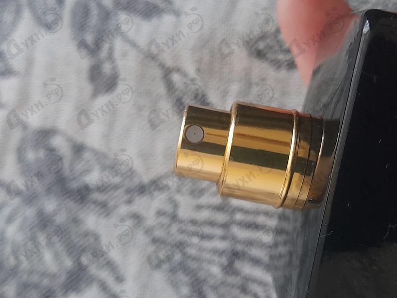 Духи Hidden Corner Of Fontana Dei Baci от Trussardi Отзывы Trussardi Hidden Corner Of Fontana Dei Baci