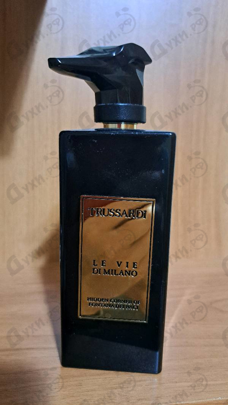 Купить Trussardi Hidden Corner Of Fontana Dei Baci