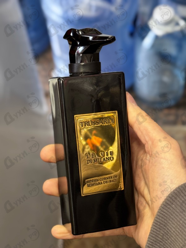 Купить Hidden Corner Of Fontana Dei Baci от Trussardi