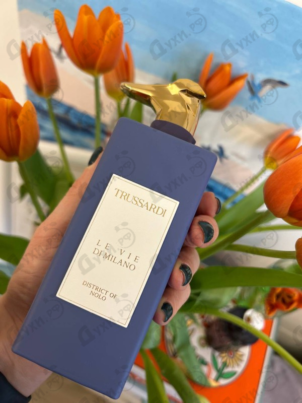 Купить District Of Nolo от Trussardi