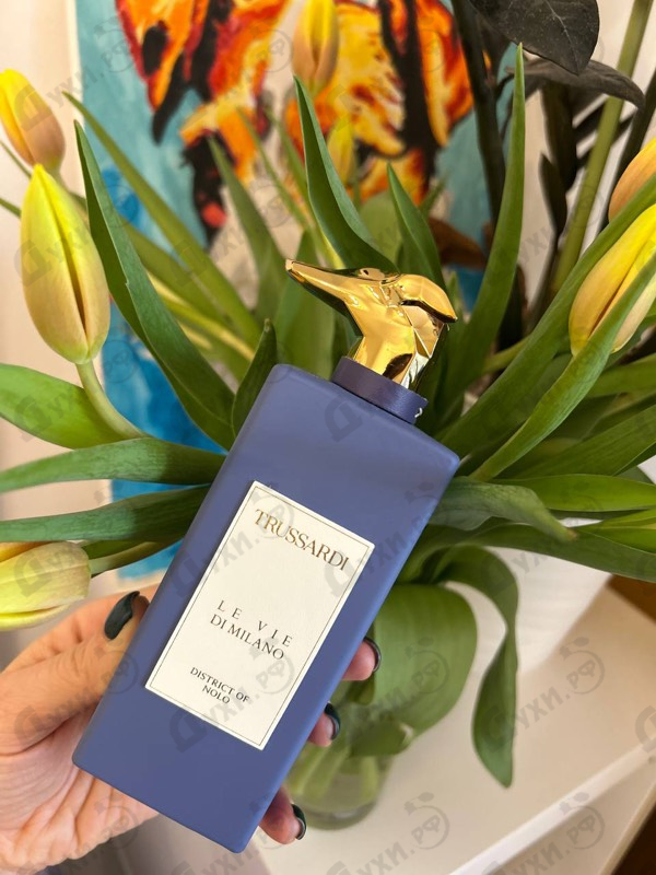 Отзывы Trussardi District Of Nolo