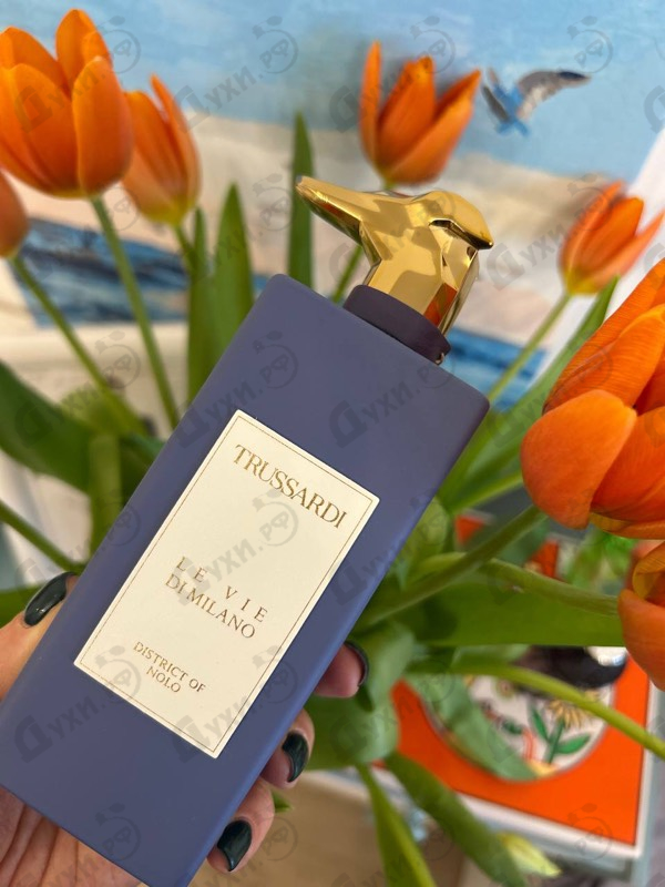 Купить Trussardi District Of Nolo