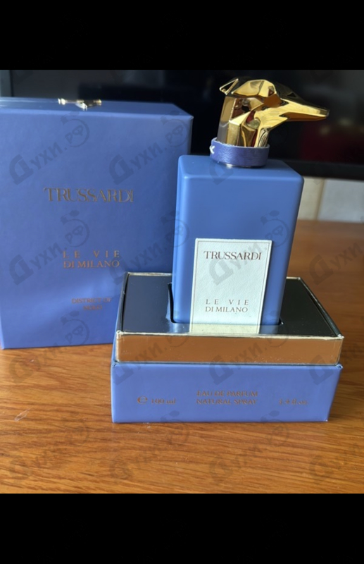 Купить District Of Nolo от Trussardi