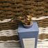 Отзывы Trussardi District Of Nolo Духи District Of Nolo от Trussardi