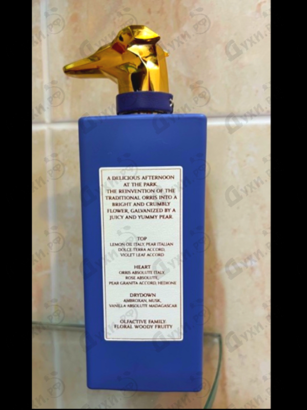 Купить District Of Nolo от Trussardi