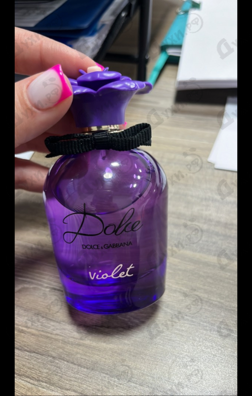 Купить Dolce Violet от Dolce & Gabbana