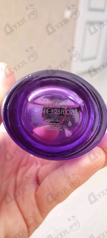 Купить Dolce & Gabbana Dolce Violet