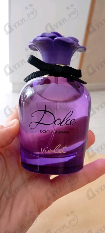 Купить Dolce & Gabbana Dolce Violet